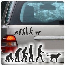 Labrador evolution auto gebraucht kaufen Labrador evolution auto gebraucht kaufen  Darmstadt