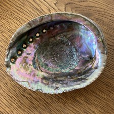 abalone perlmutt gebraucht kaufen  Ammerbuch