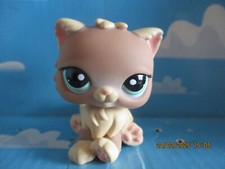 Petshop persian chat d'occasion  Expédié en Belgium