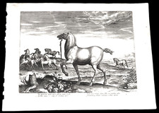 1580 rara liberi usato  Verona