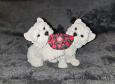 Whwt pups tugging for sale  MANCHESTER