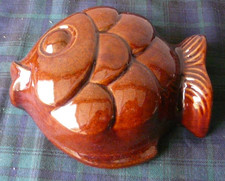 Kleine schöne fisch gebraucht kaufen  Lindhorst
