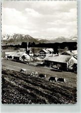 39670774 8970 zaumberg usato  Spedire a Italy