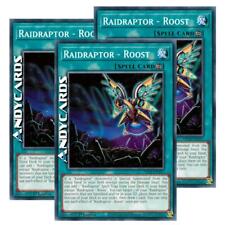 Raidraptor roost comune usato  Ravenna