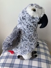 African grey parrot for sale  BIRMINGHAM