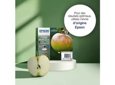 Epson t1295 durabrite d'occasion  Lille-