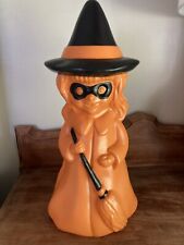 Indoor outdoor witch for sale  Milford