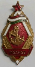 Spilla smaltata associazione usato  Zelbio