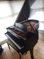 Steinway grand piano for sale  Palatine