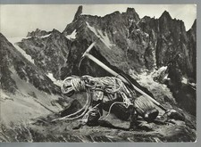 Cartolina alpinismo picozza usato  Oliveto Lario