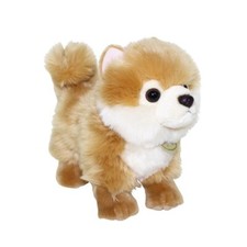 Shiba inu dog for sale  Oakland