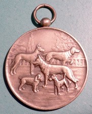 Exposition canine medaille d'occasion  Limogne-en-Quercy