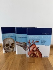 Prometheus lernatlas anatomie gebraucht kaufen Prometheus lernatlas anatomie gebraucht kaufen  Regensburg