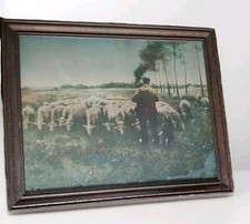 Antique sheep herd for sale  Romeo