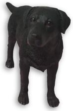 Black labrador dog d'occasion  Expédié en Belgium
