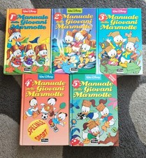 Manuale delle giovani usato  Villachiara