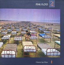 Pink floyd momentary gebraucht kaufen  Bremen