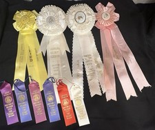 Lot horse show for sale  Central Point