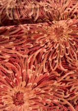 Hoffman california cotton for sale  Casper