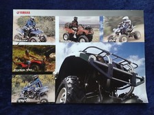 Yamaha warrior grizzly gebraucht kaufen  Vechta