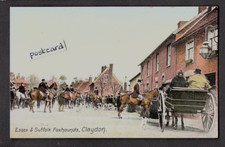Essex suffolk foxhounds for sale  BURY ST. EDMUNDS