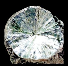 Seraphinite natural raw for sale  Tucson