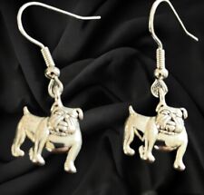English bulldog animal for sale  LONDON