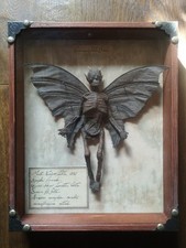 Fata mummificata mummia usato  Bassano del Grappa