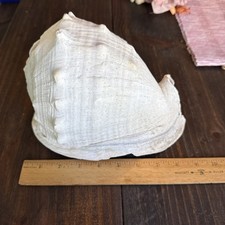 Large horned king for sale  Lexington