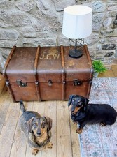 Antique travelling trunk for sale  NEWTON ABBOT
