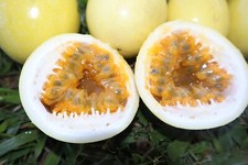 Fresh passion fruit for sale  USA
