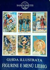 Guida illustrata figurine usato  Italia