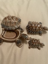 Wade tortoises for sale  WARRINGTON