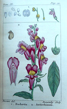 Botanique histoire naturelle d'occasion Botanique histoire naturelle d'occasion  Paris V