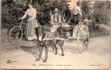 Lorris attelage chien d'occasion  France