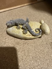 Lizard rock for sale  SOUTHAMPTON