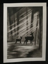 Disegno matita usato  Bibbiena