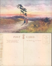 Summer evening dixit for sale  ROSSENDALE
