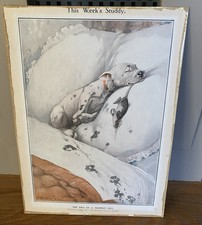 Vintage bonzo dog for sale  OLDHAM