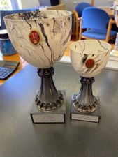 Pokal baugleiche cm gebraucht kaufen  Bad Honnef
