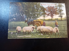 Old postcard kent for sale  DORCHESTER