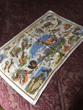 Scottish wild life for sale  UK