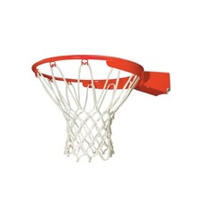 Lifetime slam pro for sale  USA