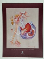 Affiche dessin anatomie d'occasion  Paris XX