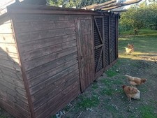 Chicken coop hen for sale  MELKSHAM