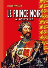 Prince noir aquitaine d'occasion  Matha