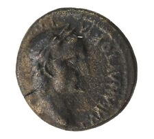 Galba phrygia cotiaeum gebraucht kaufen  Freiburg im Breisgau