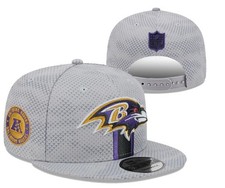 New nfl team for sale  Virginia Beach