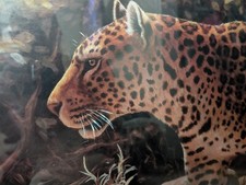 leopard framed print large for sale leopard framed print large for sale Worthville