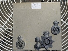 Wiltshire constabulary helmet for sale  NEWTOWNARDS